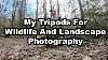 My Tripods For Wildlife And Landscape Photography