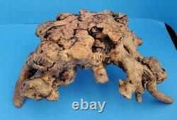 Vintage Natural Burl Wood Root Carving Trépied Bonsai Or Display Stand 5 H